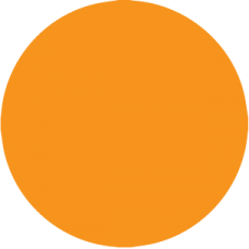 N200ORA - 1/2" Orange Color Dot